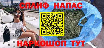 прущие грибы Ирбит