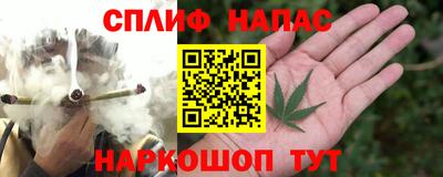 прущие грибы Ирбит