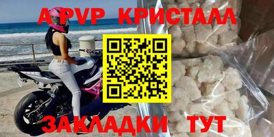 прущие грибы Ирбит