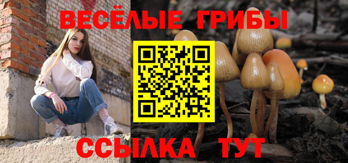 Назрань  Псилоцибиновые грибы мицелий  Вход с VPN  Галлюциногенные грибы мицелий 
